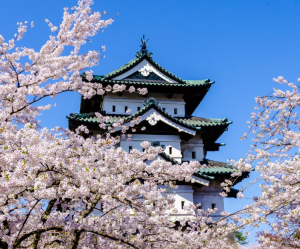 Круиз, который начинался с тайфуна